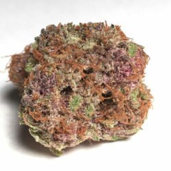 Strawberry Cough Strain — the Latest Review